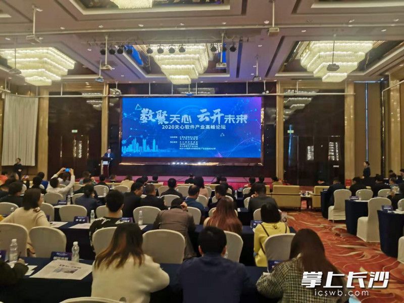 论坛现场。长沙晚报全媒体记者 王斌 摄