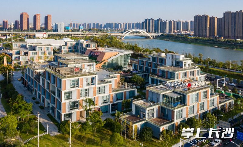 三年筚路蓝缕，“一马当先”的马栏山从浏阳河畔的拆违废墟上崛起。长沙晚报全媒体记者 邹麟 摄