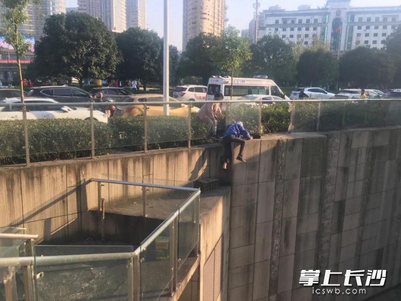 被马蜂围攻后，老人被困在5米高台上，情况危急。长沙消防供图