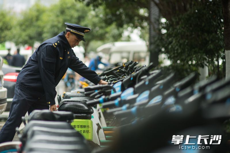 城管执法人员正在规范摆放共享电单车。  均为长沙晚报全媒体记者黄启晴摄