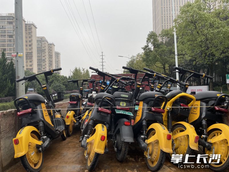 暂扣的共享单车(电动车)将被存放到指定停车场等待企业处理。 暂扣的共享单车(电动车)将被存放到指定停车场等待企业处理。