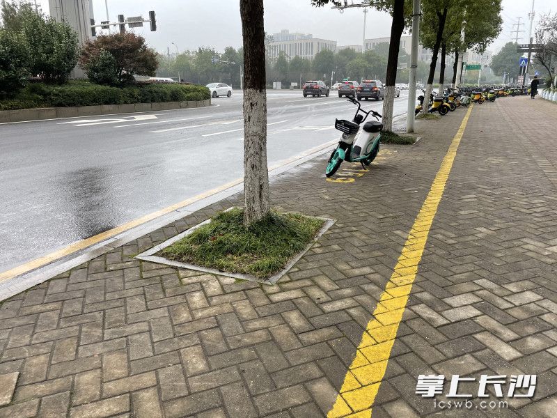相比起共享电动车的数量,周边停车位显得十分紧缺。但在离园区入口较远处,也有停车点“虚位以待”。 相比起共享电动车的数量,周边停车位显得十分紧缺。但在离园区入口较远处,也有停车点“虚位以待”。