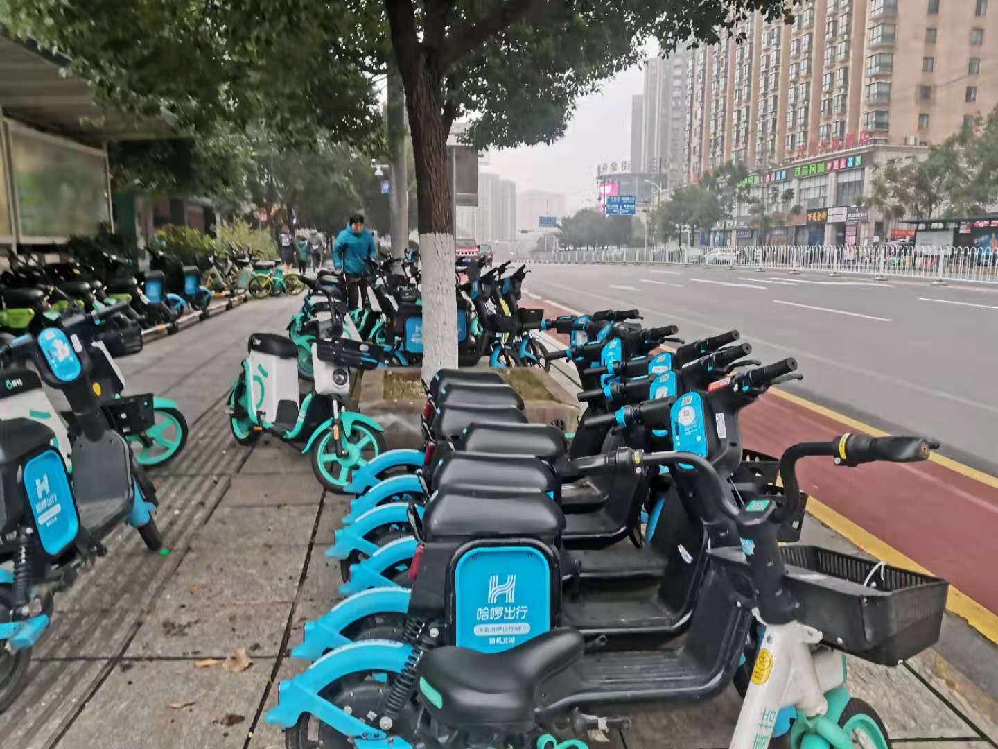 天心区共享单车停放点。长沙晚报全媒体记者 王斌 摄
