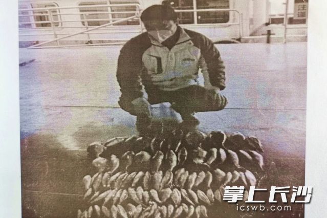 非法电捕的河鱼。