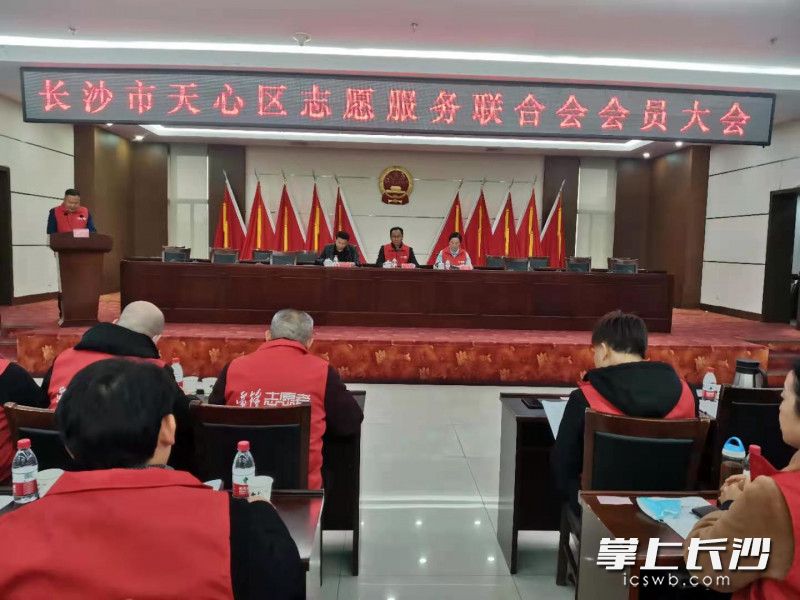 大会现场。 邹颖供图