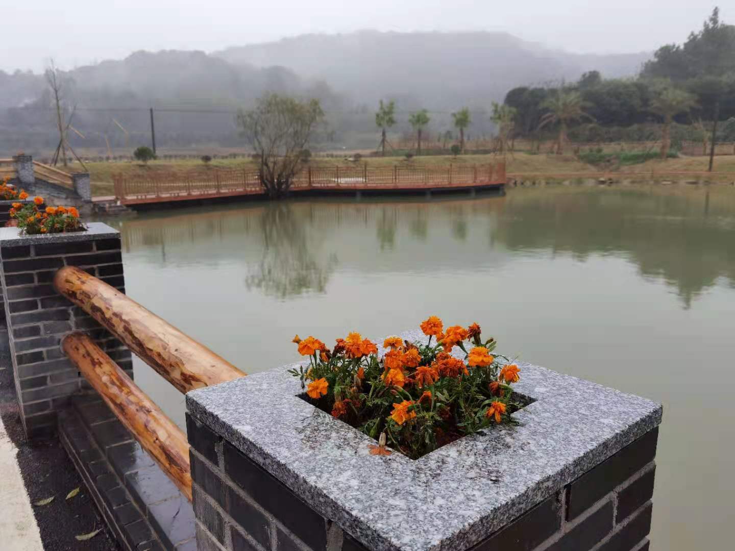 中屋塘原本是个废弃的臭水塘，如今变身景观塘。长沙晚报全媒体记者 朱华摄