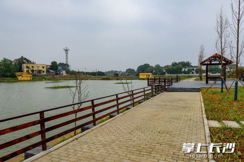 为节约成本，购买原料纯手工修栏杆建凉亭。长沙晚报全媒体记者 陈飞 摄