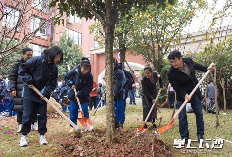 怡雅中学校长王良（右一）和学生们共同种下桂花树。