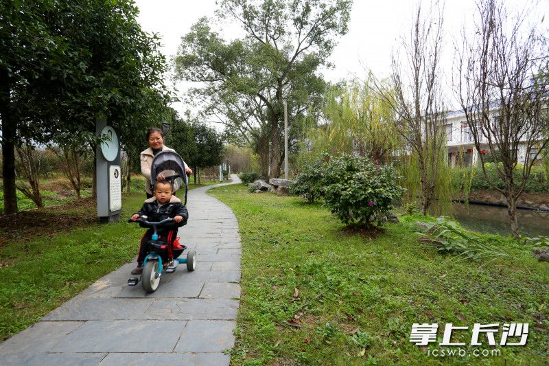 村民在美丽的桃树湾河边遛娃，画面右边的河岸护坡上能看到黑色的污水收集管网。均为长沙晚报通讯员 张永红 摄  