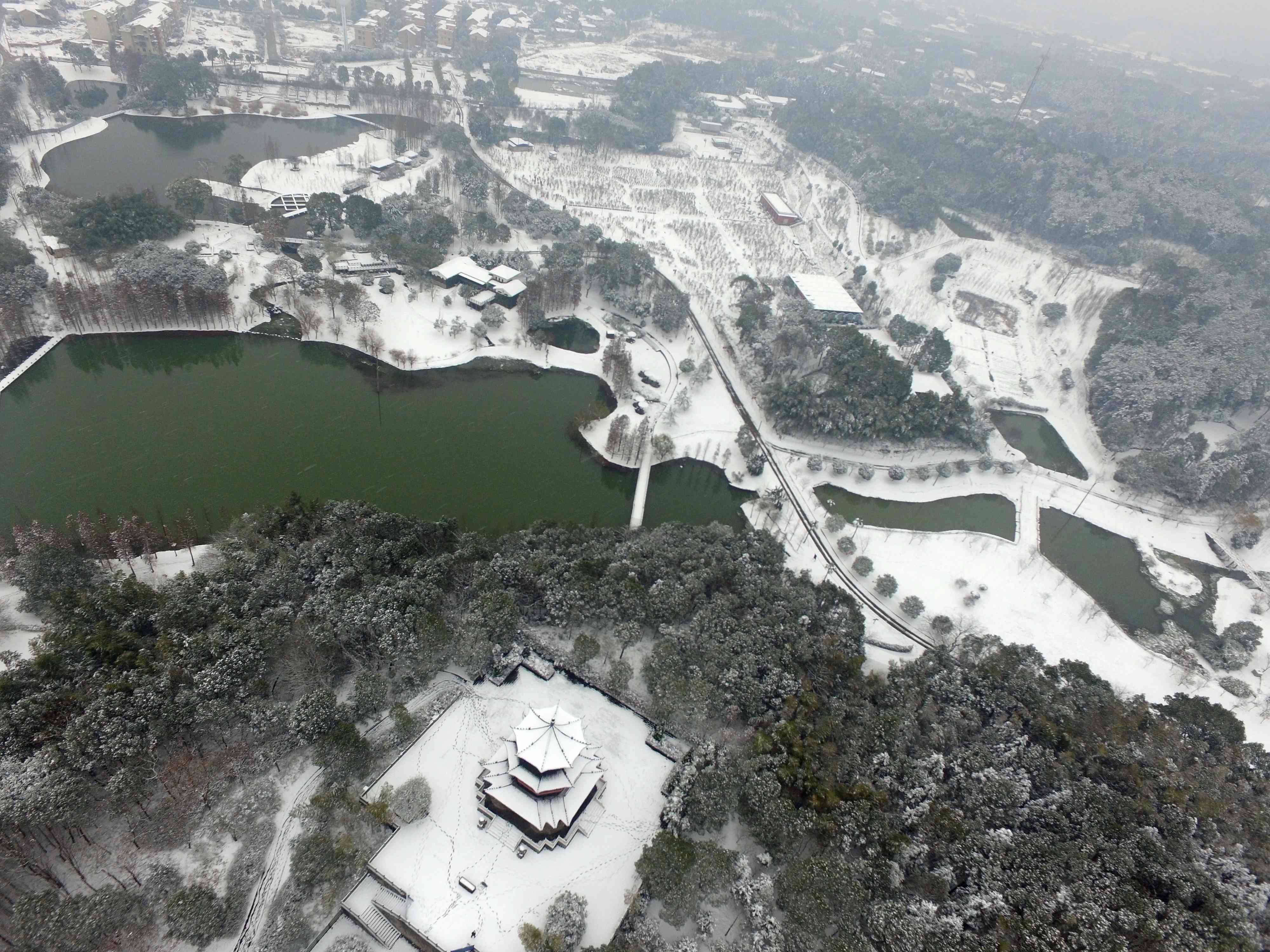 长沙园林生态园银装素裹。