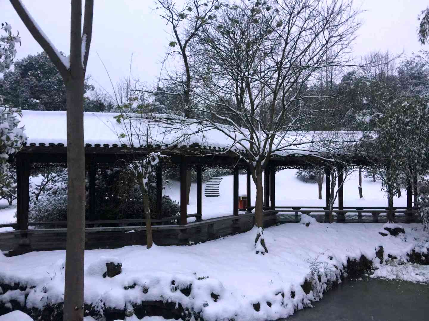 盆景园内白雪皑皑。