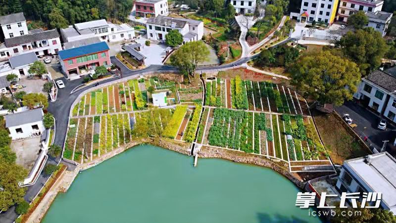 水系整治后的刘家湾屋场。