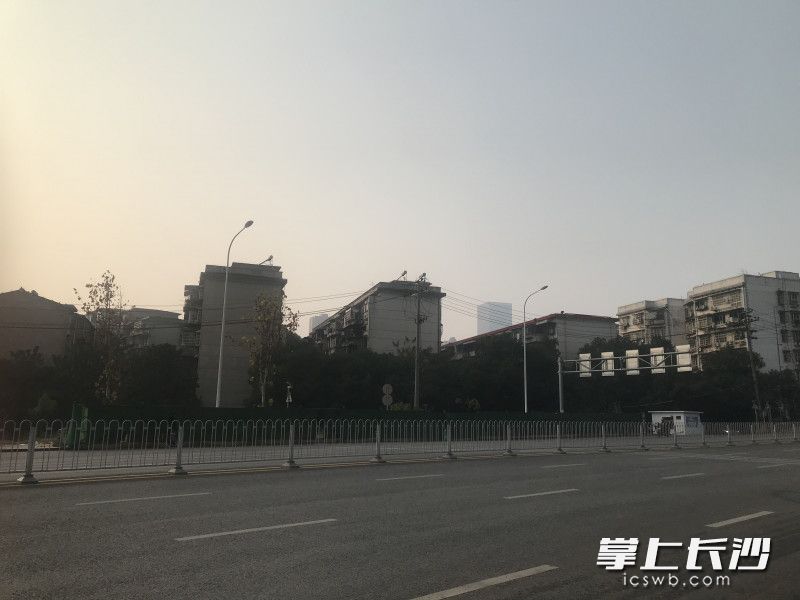 市民反映的路灯分布在洞井路的两边。长沙晚报全媒体记者 张洋子 摄