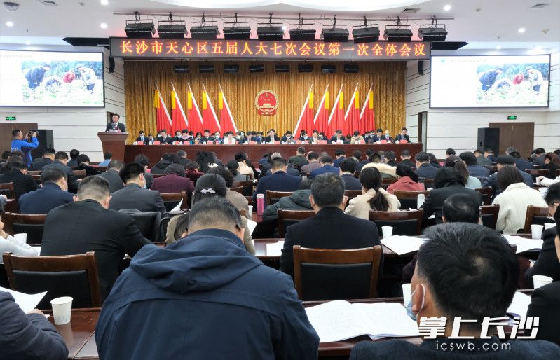 天心区五届人大第七次会议第一次会议现场。杨威 供图