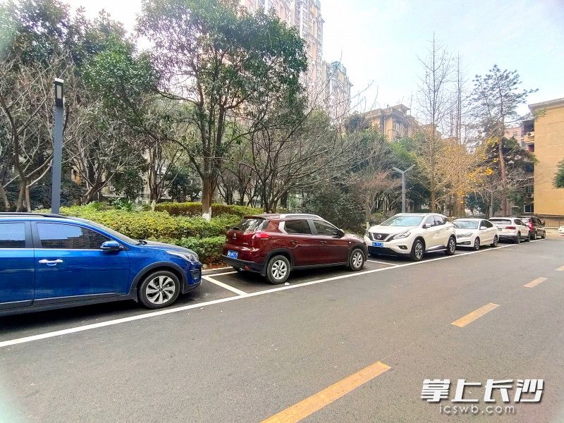 小绿化更美了，道路白改黑，还画上了交通标识线。长沙晚报全媒体记者 王斌 摄
