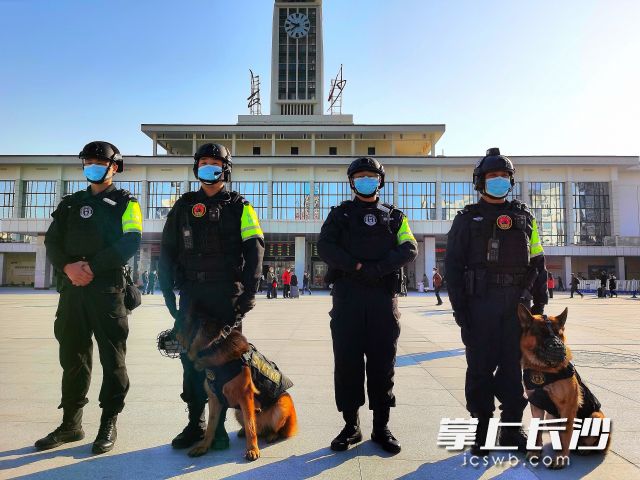 元旦节，长沙特警带警犬在长沙火车站前坪广场值守。 长沙晚报通讯员 段旖亮 供图