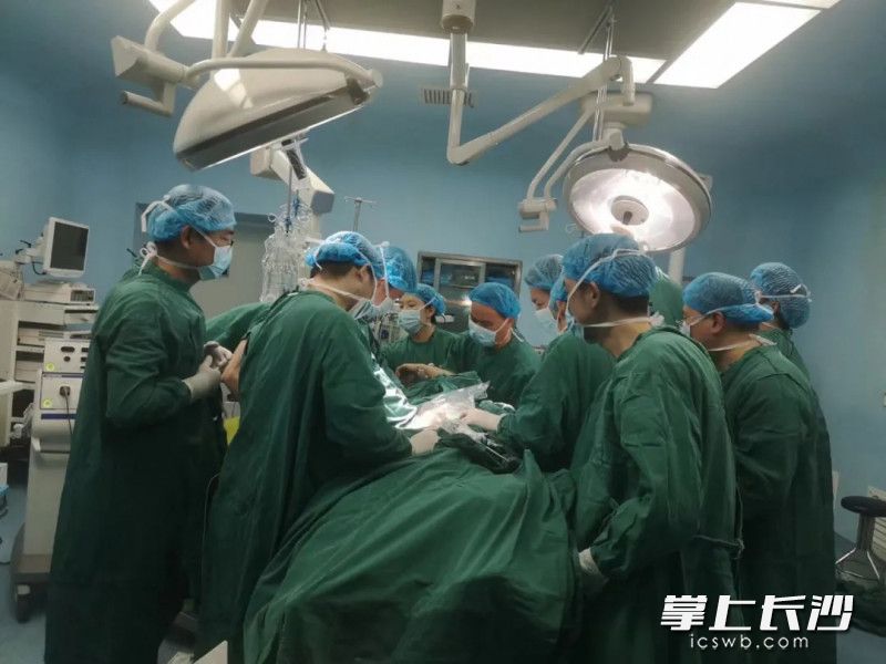多学科团队联合手术。均为彭宇供图