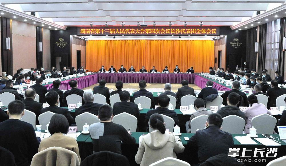25日，省十三届人大四次会议长沙代表团审查了政府工作报告、《湖南省国民经济和社会发展第十四个五年规划和二〇三五年远景目标纲要（草案）》。长沙晚报全媒体记者 贺文兵 摄