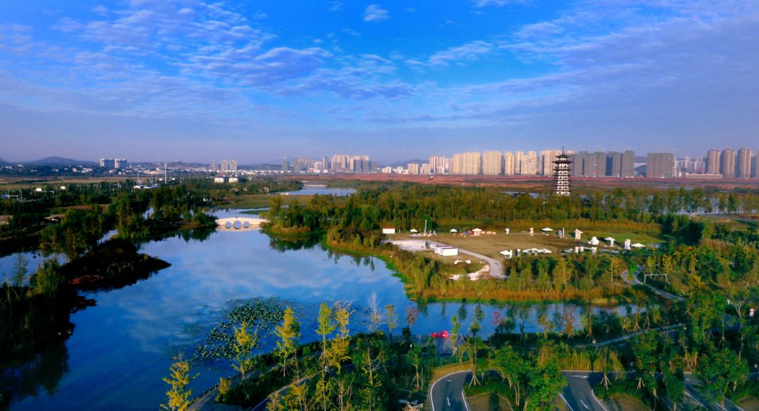 洋湖湿地公园。 洋湖湿地公园。