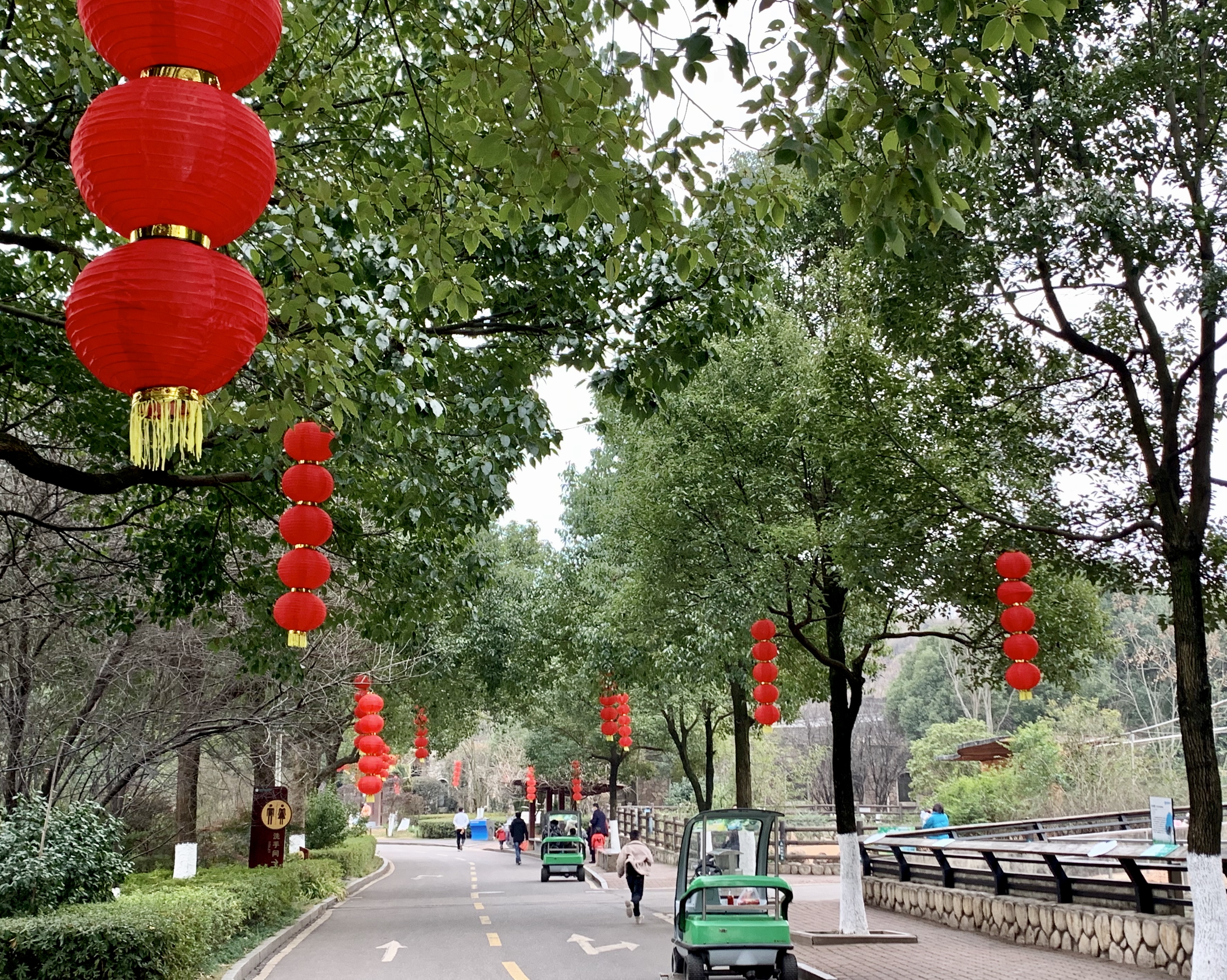 长沙生态动物园内张灯结彩，一派喜气洋洋的氛围。