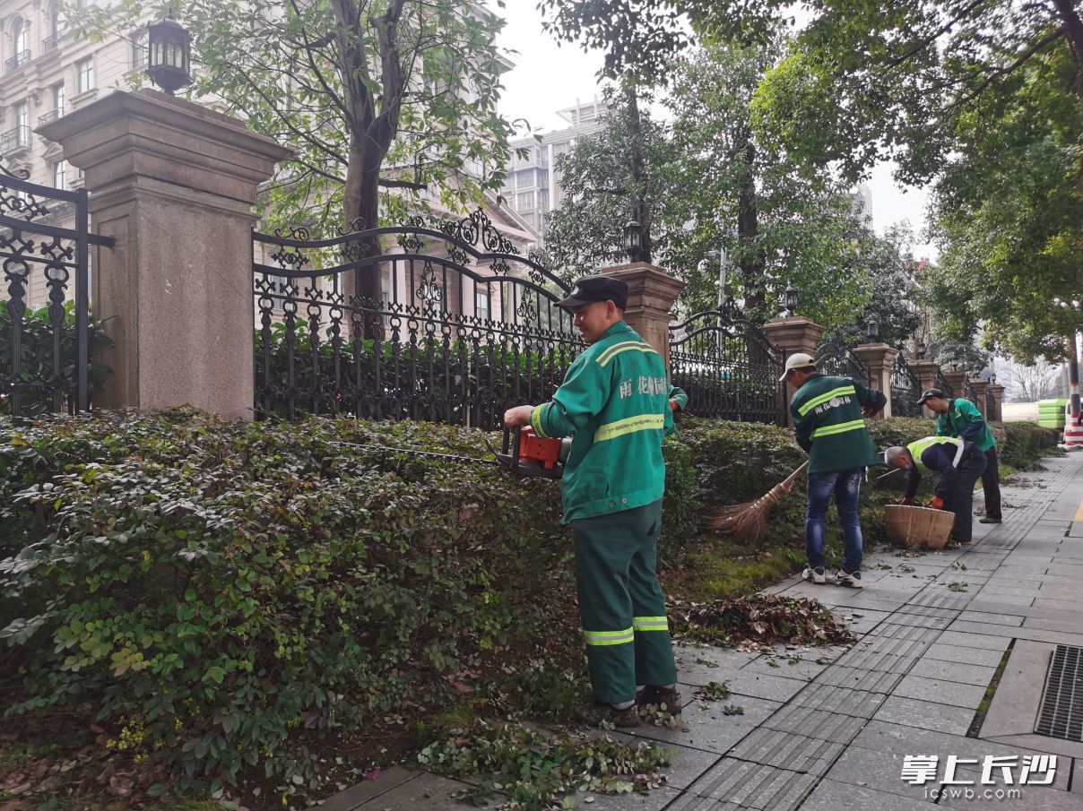 二环线旁，园林工人们细心作业，打磨绿化带。 长沙晚报通讯员  黄钰瑶 摄