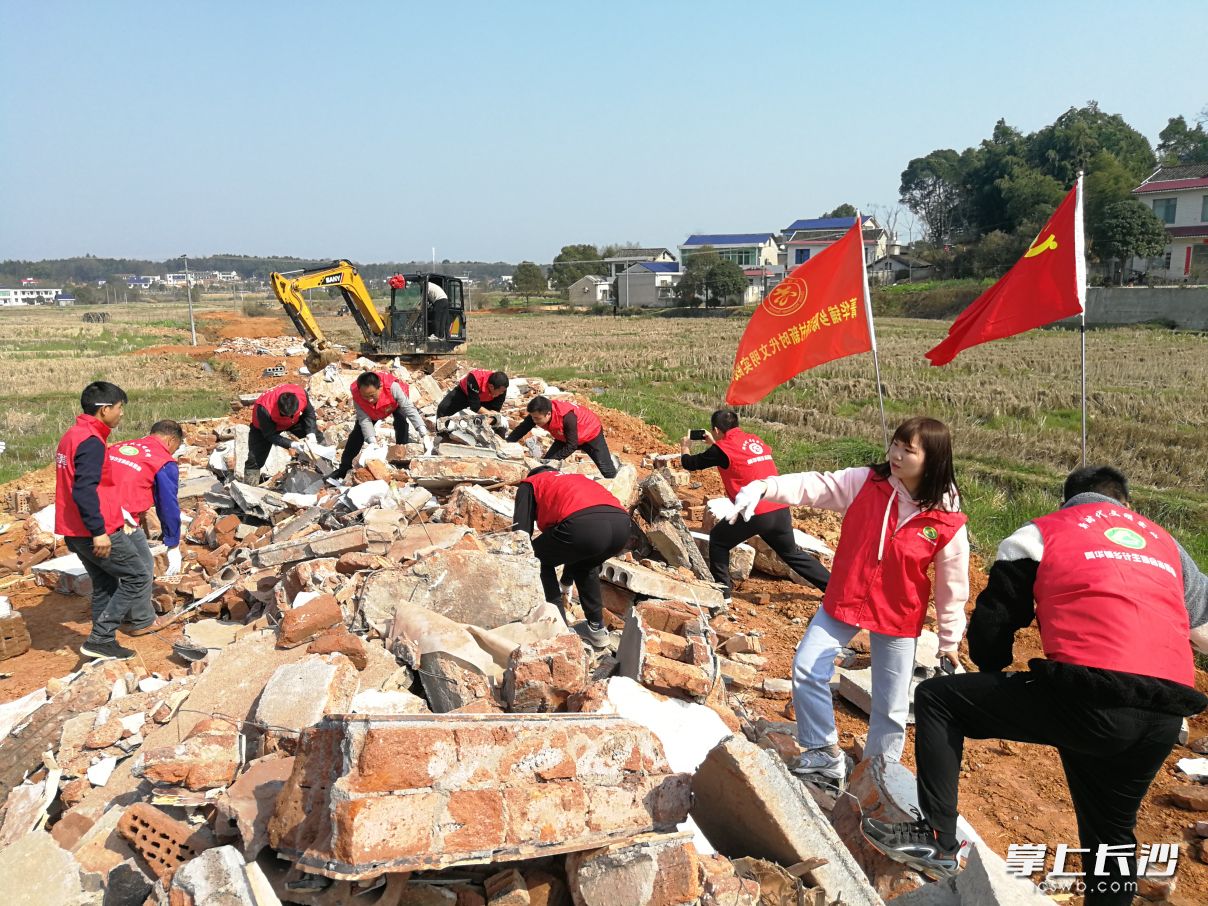得知运来了铺路基石，宁乡市菁华铺乡陈家桥村黑屋组党员干部组织40多位志愿者，自己动手清理建筑垃圾中的杂物，以便让路基更牢靠。长沙晚报全媒体记者 张禹 摄 (1)