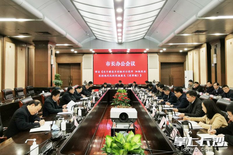 郑建新出席市长办公会。 刘书勤 摄
