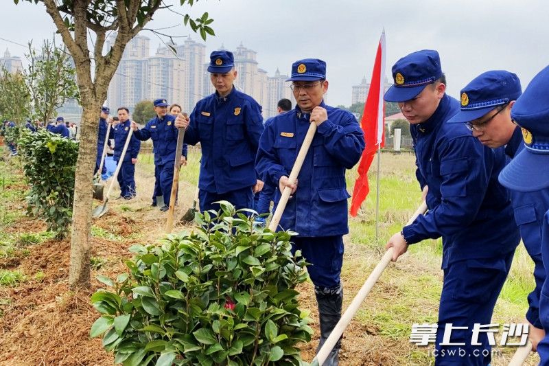 活动现场，消防指战员共同参与义务植树。均为长沙晚报通讯员 何忠正 供图