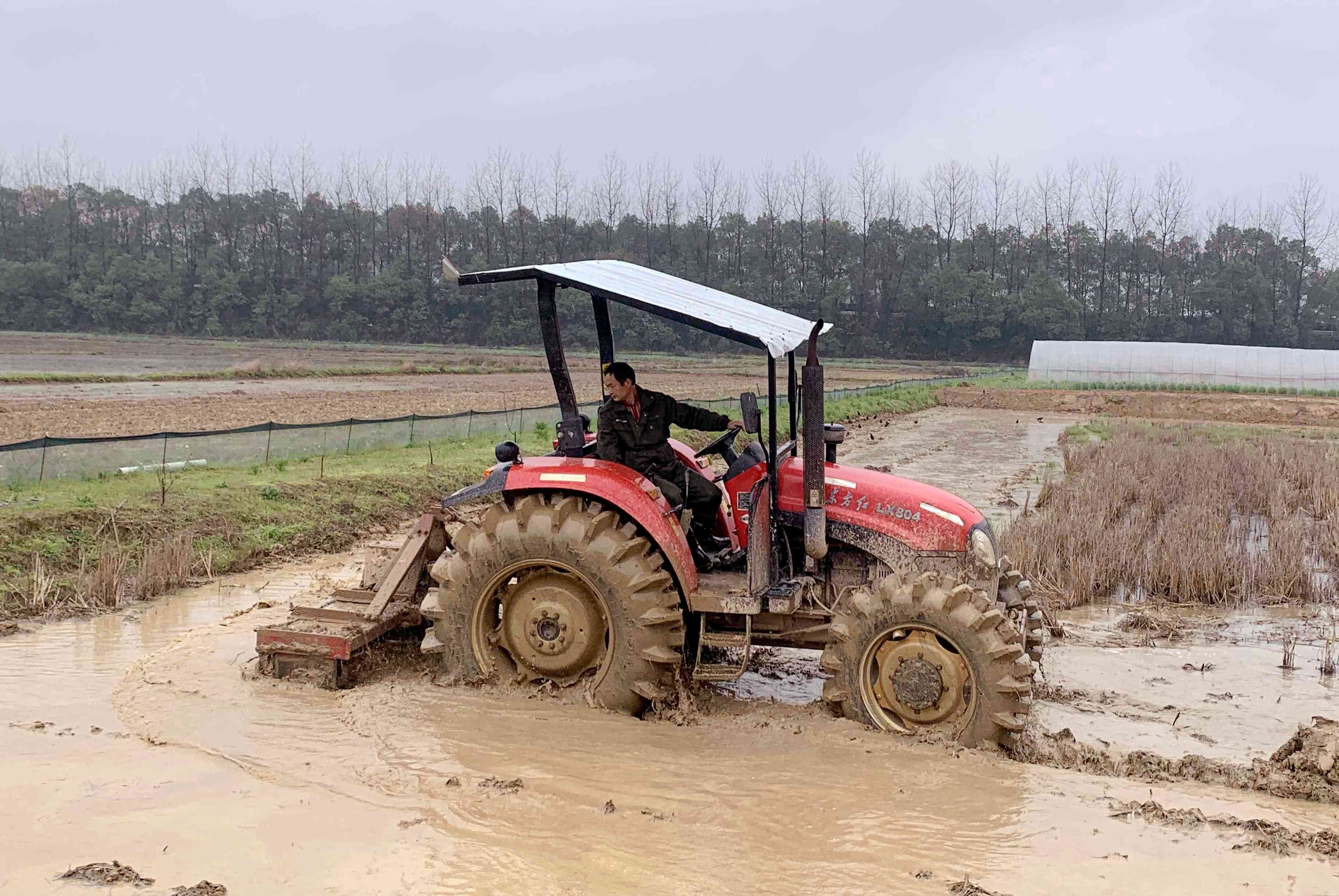 长沙县安沙镇,种粮大户在春耕。 均为长沙晚报全媒体记者 贺文兵 摄 长沙县安沙镇,种粮大户在春耕。 均为长沙晚报全媒体记者 贺文兵 摄