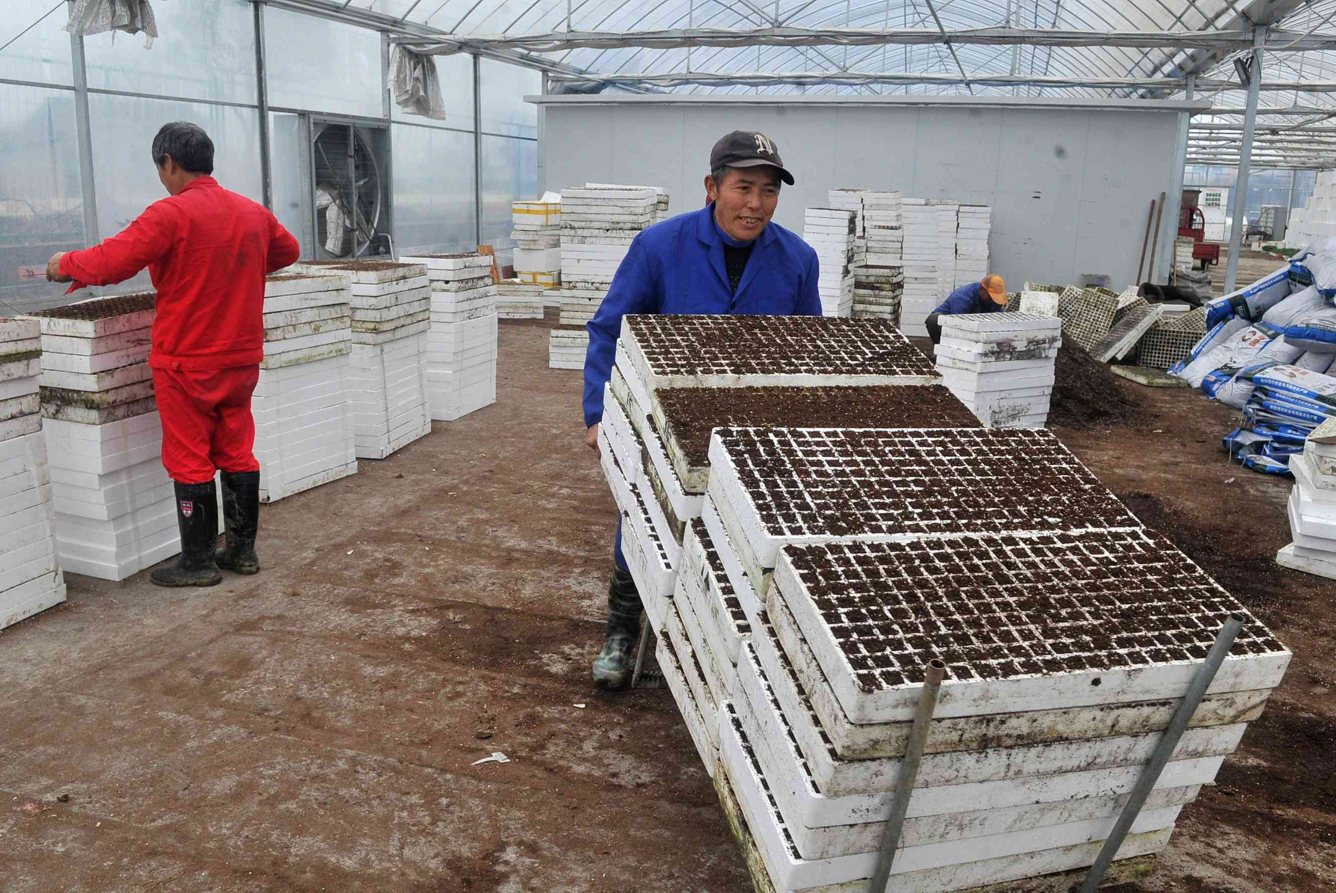 望城区乌山镇的农民在备耕。 望城区乌山镇的农民在备耕。