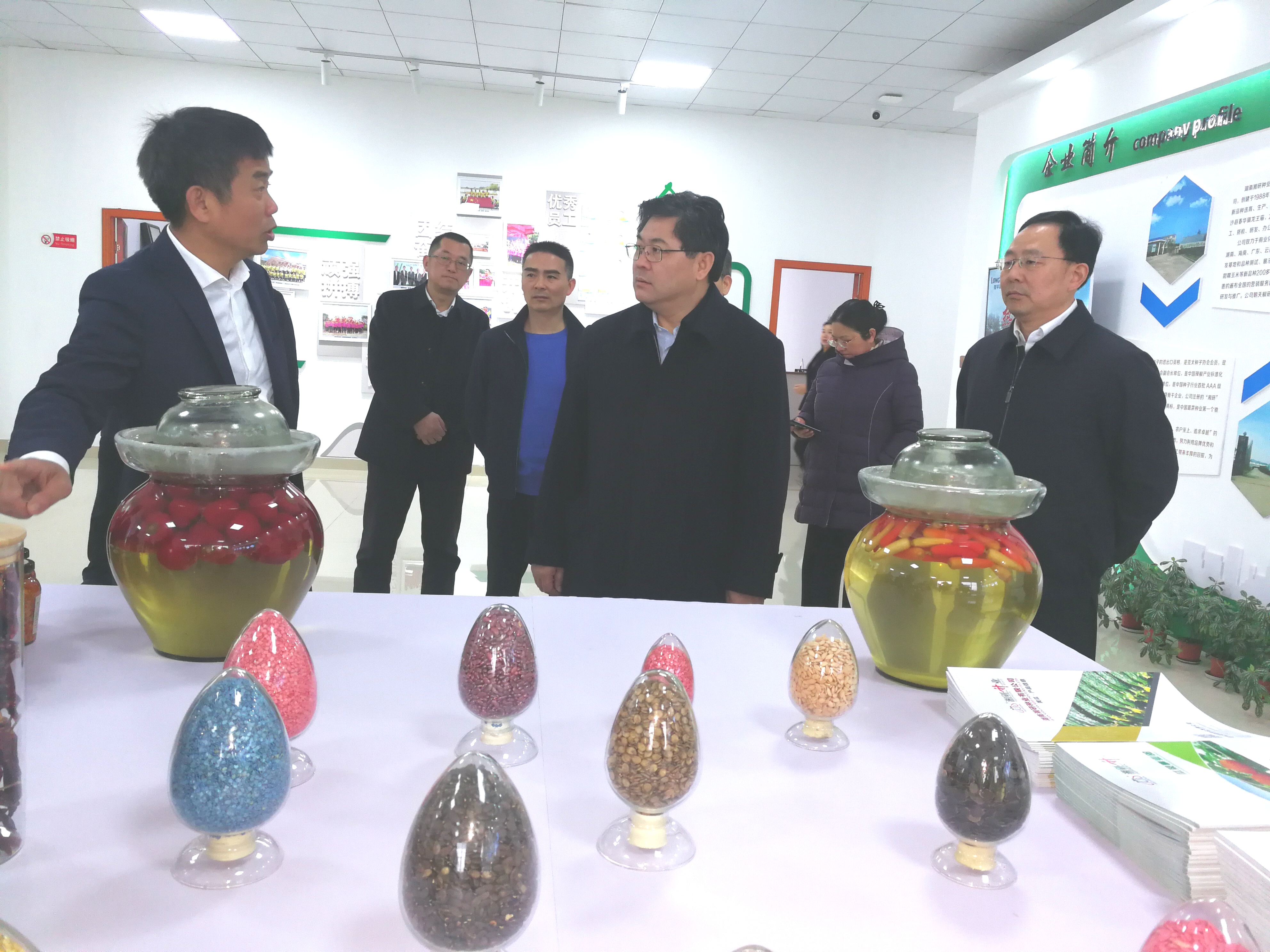 隋忠诚副省长（中）来到位于长沙县春华镇的湖南湘研种业有限公司调研。 长沙晚报全媒体记者 黎铁桥 摄