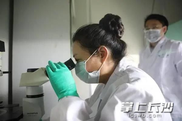 南华大学教授喻翠云荣获“全国三八红旗手”称号，是湖南省教育系统唯一获得该称号的人。学校供图