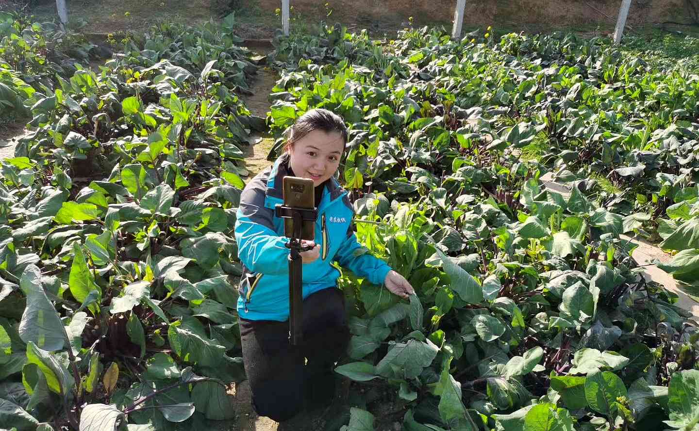 张芹在蔬菜基地直播带货。长沙晚报全媒体记者 贺文兵 摄