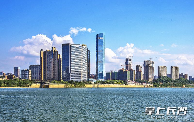 天心区楼宇经济发达。长沙晚报全媒体记者 陈飞 摄