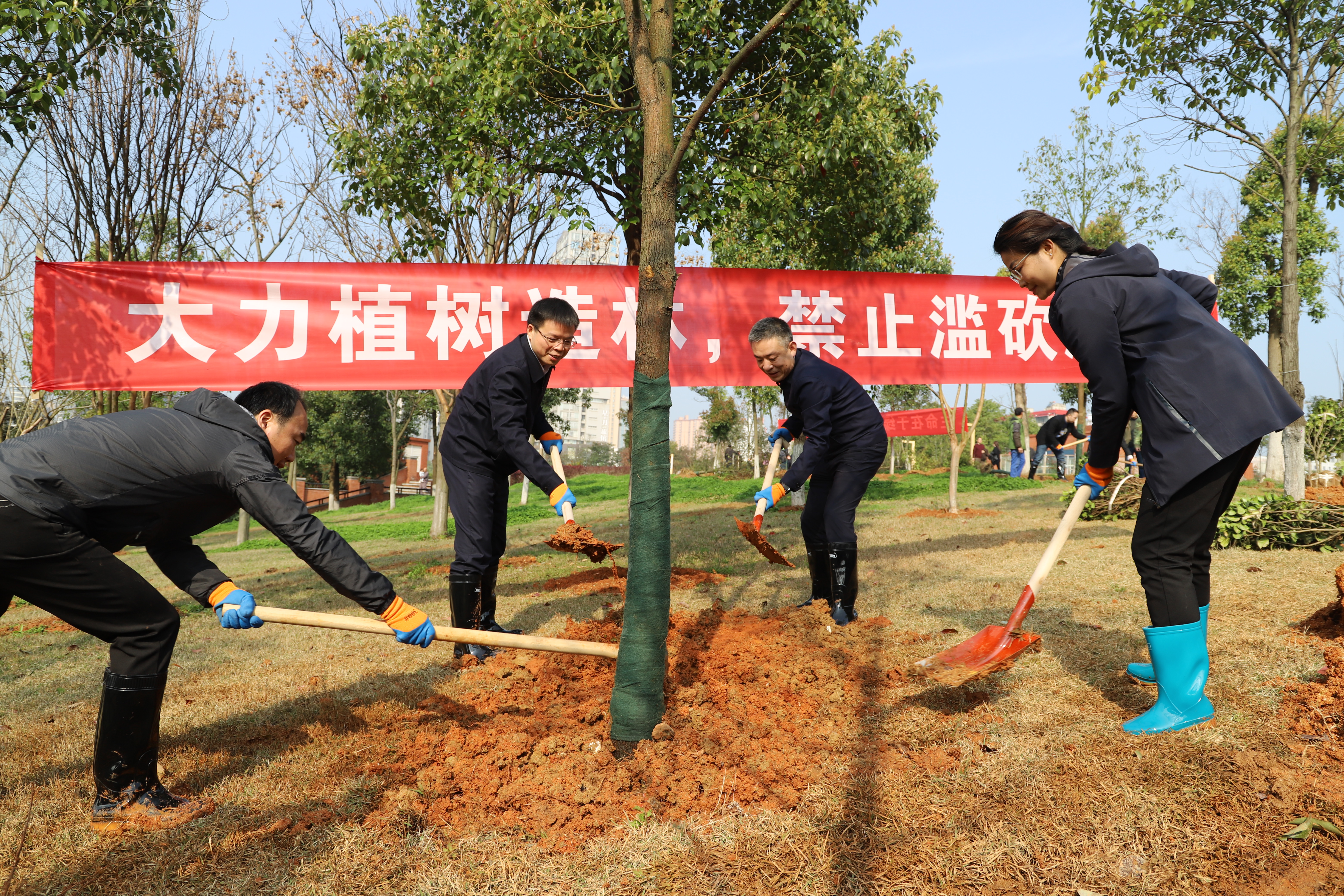 植树现场。通讯员 章迎春 摄