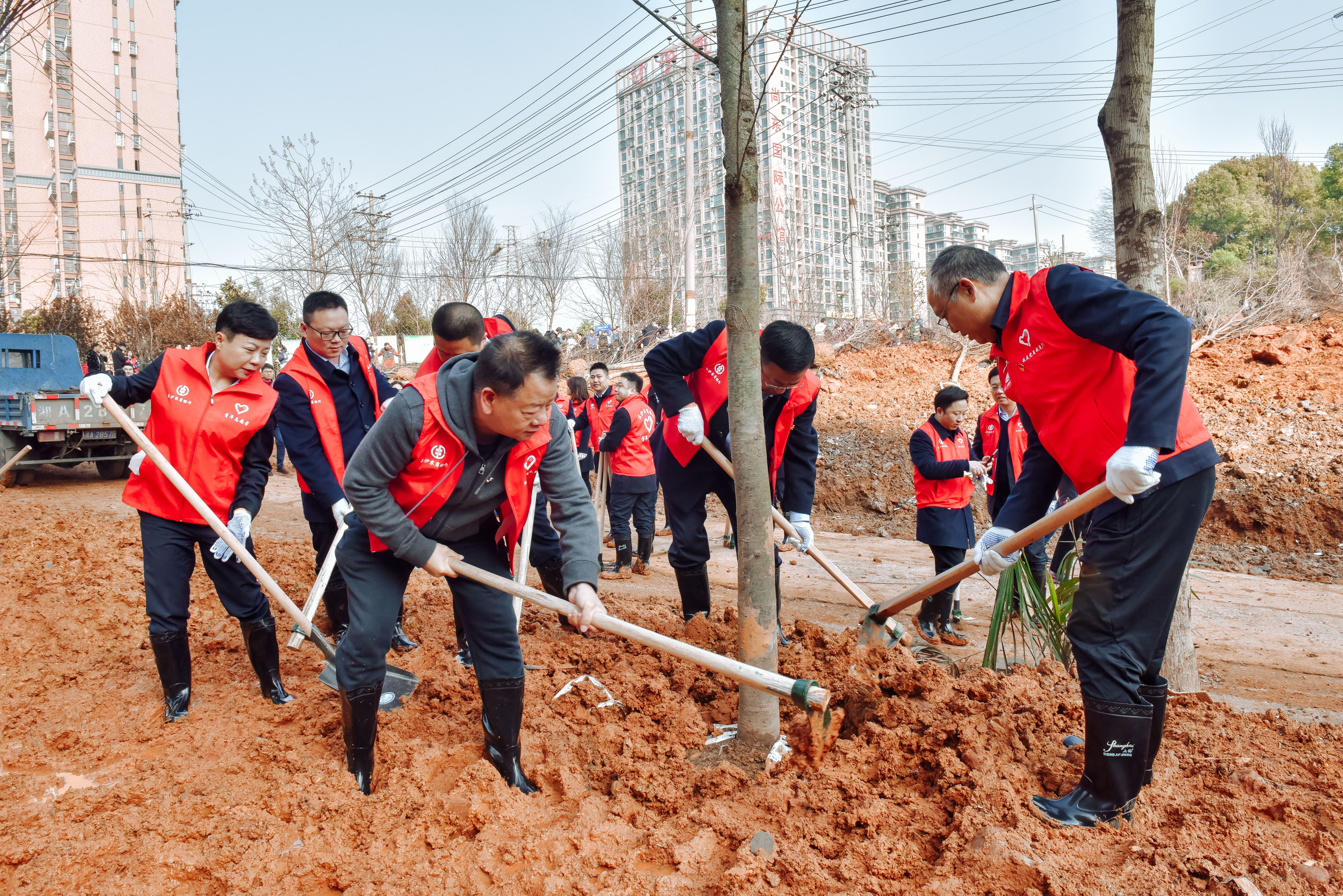 为星城增添一抹新绿
