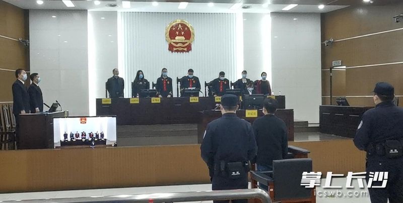 16日，开福区人民法院湘江环境资源法庭公开审理一起危害珍贵、濒危野生动物罪案。长沙晚报全媒体记者刘树源摄