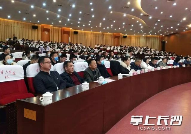 与会者认真听取专题讲座。