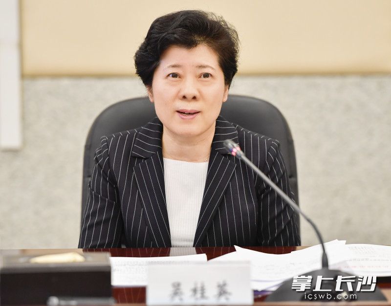吴桂英在座谈会上讲话。长沙晚报全媒体记者 余劭劼 摄