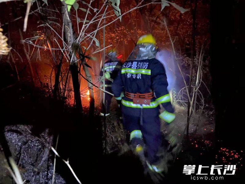 金井镇专职消防救援站消防员奋力扑救山火。长沙县消防供图