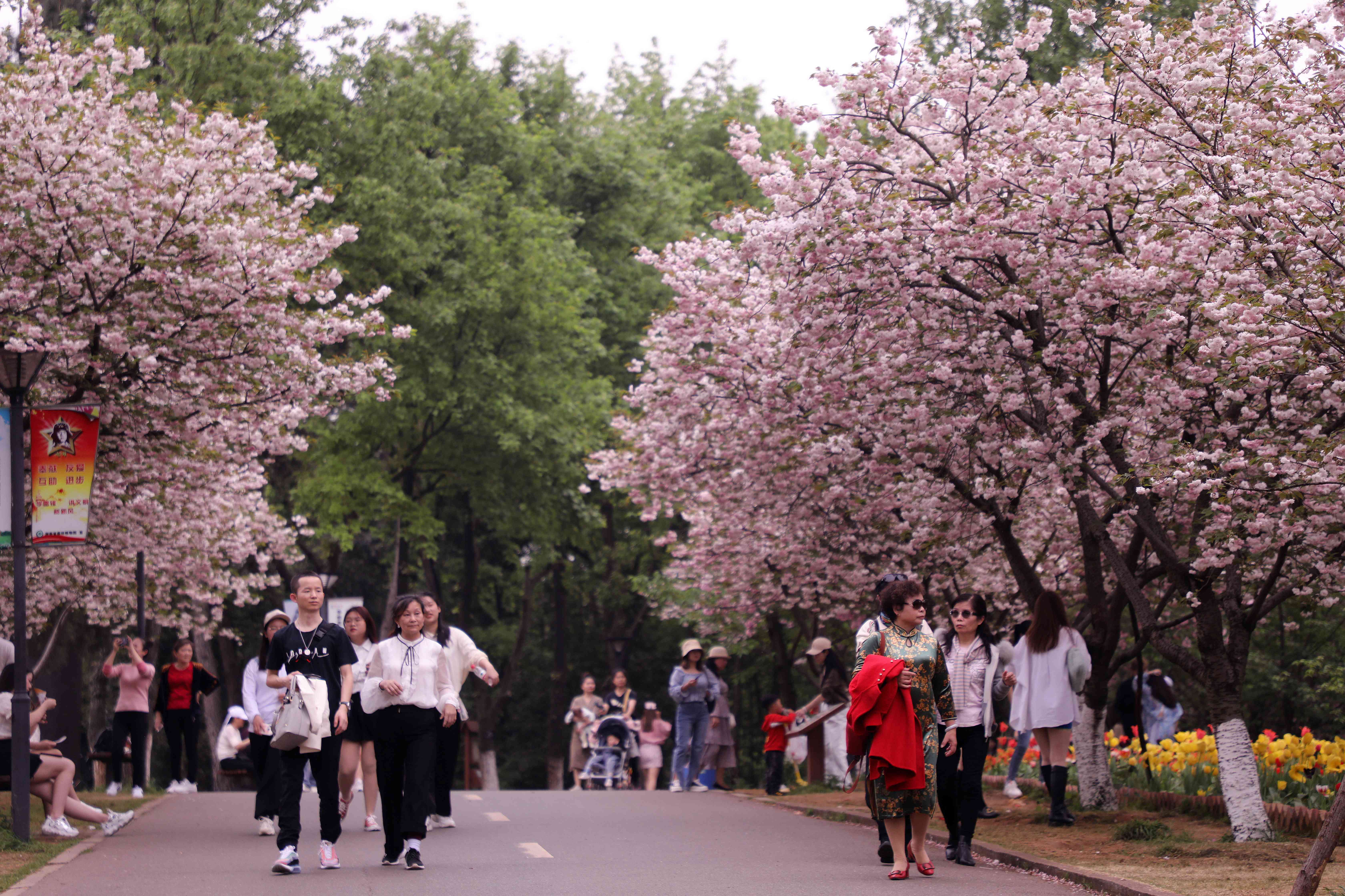 市民、游客在省植物园“花花世界”里沐浴花的芬芳，感受大自然的美丽。均为彭炜供图