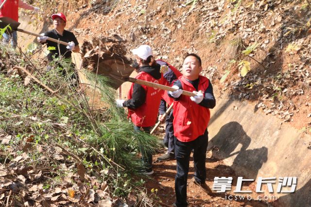 黄水局发动100多名党员干部，义务进行渠道的清淤扫障。长沙晚报全媒体记者 张禹 通讯员 彭小凤 朱可红 摄影报道