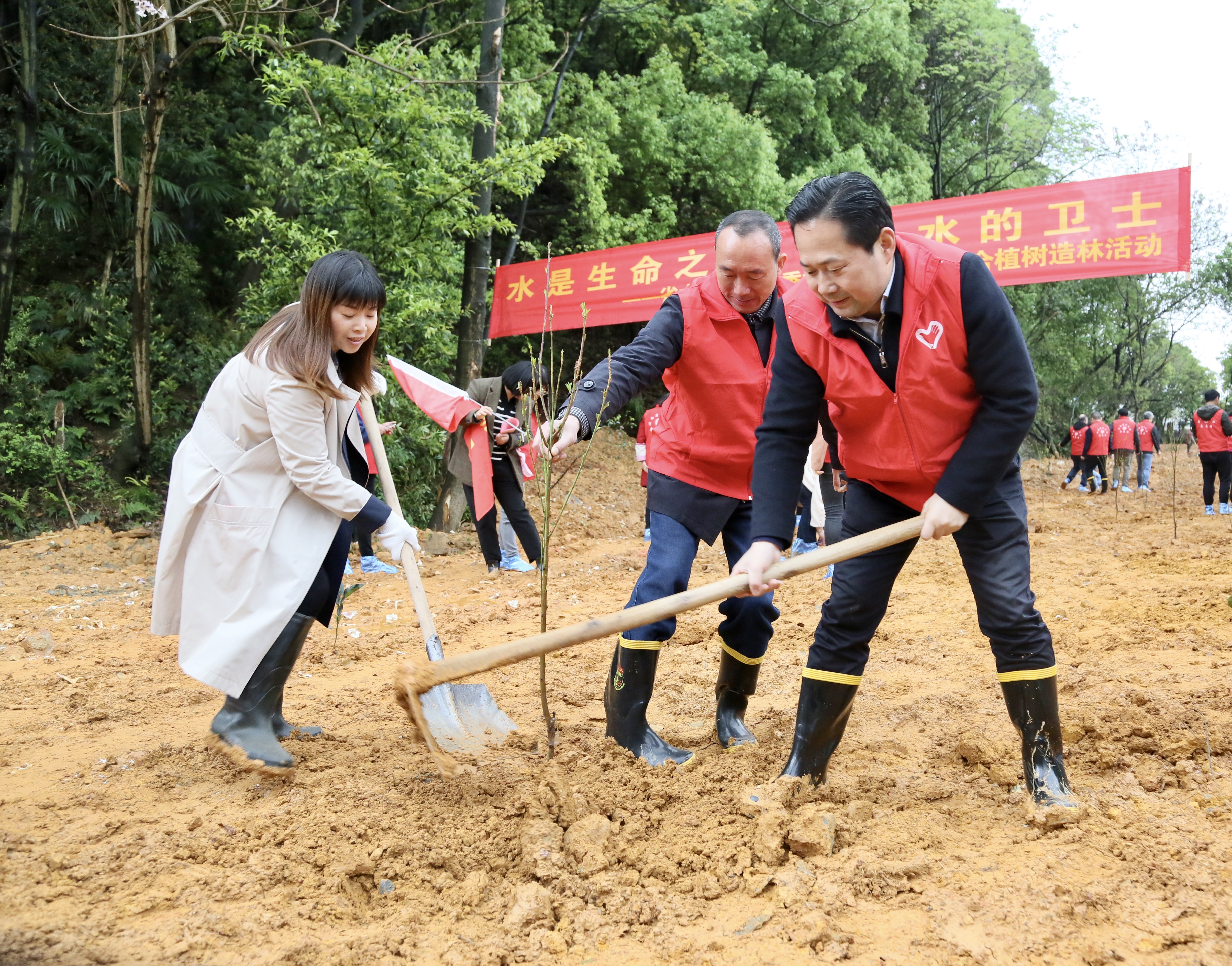 清明不“烧包”，涵养水土、巩固堤防，种下一片追思林。 长沙晚报全媒体记者 李卓 摄