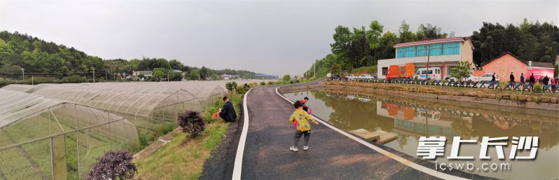 宁乡市回龙铺镇沙皮塘美丽屋场于去年建成，主要道路铺上了沥青，人居环境十分优美。长沙晚报全媒体记者 张禹 摄