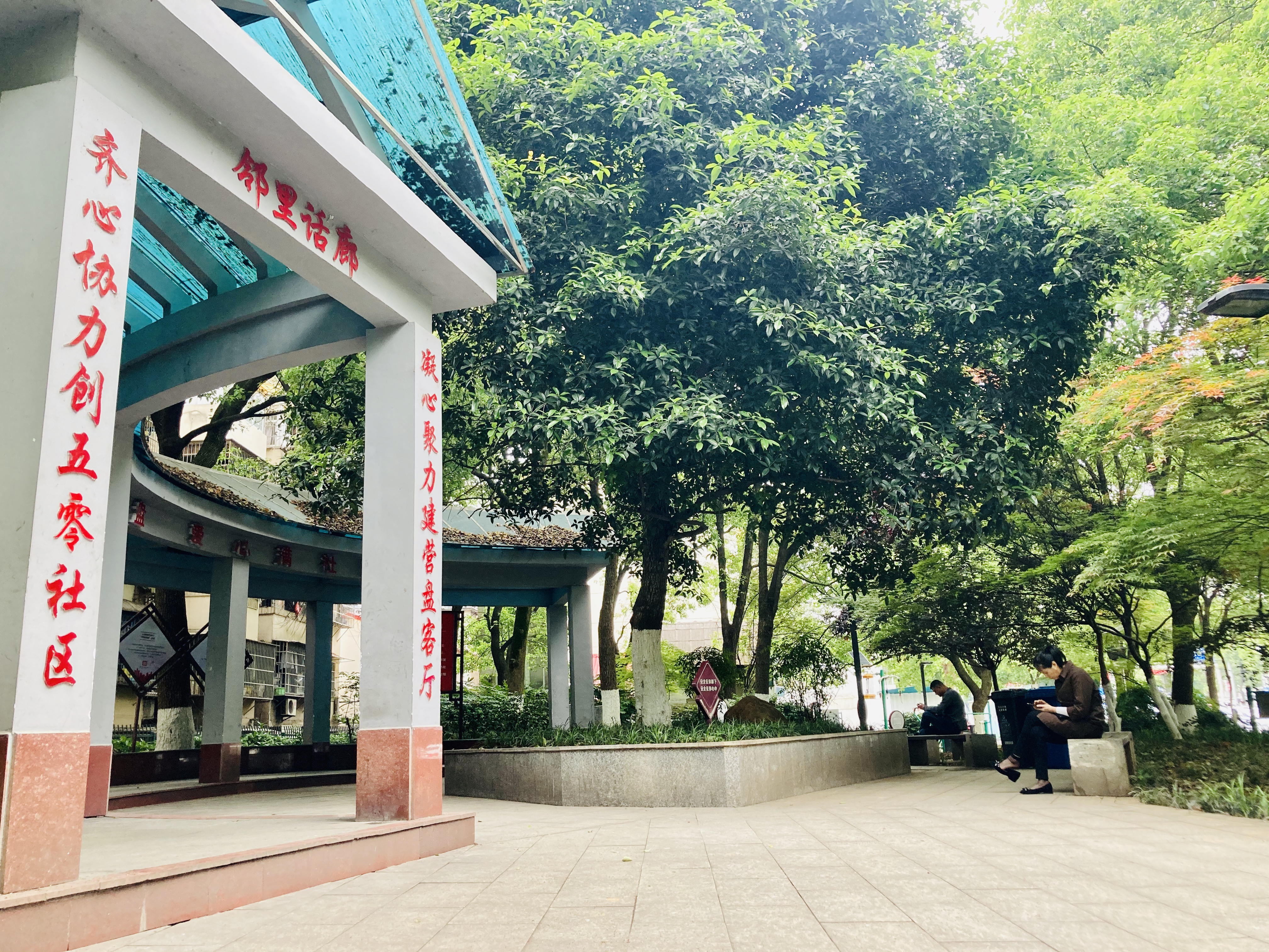 整改后广场恢复整洁静谧，市民在此安静地看书休憩。 全媒体记者 李卓 摄