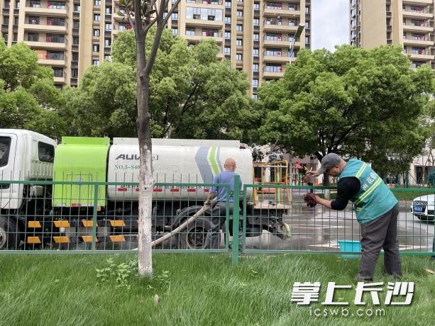 雨花区园林部门对中间分车带护栏进行精细化清洗维护。均由市城管委办公室 供图