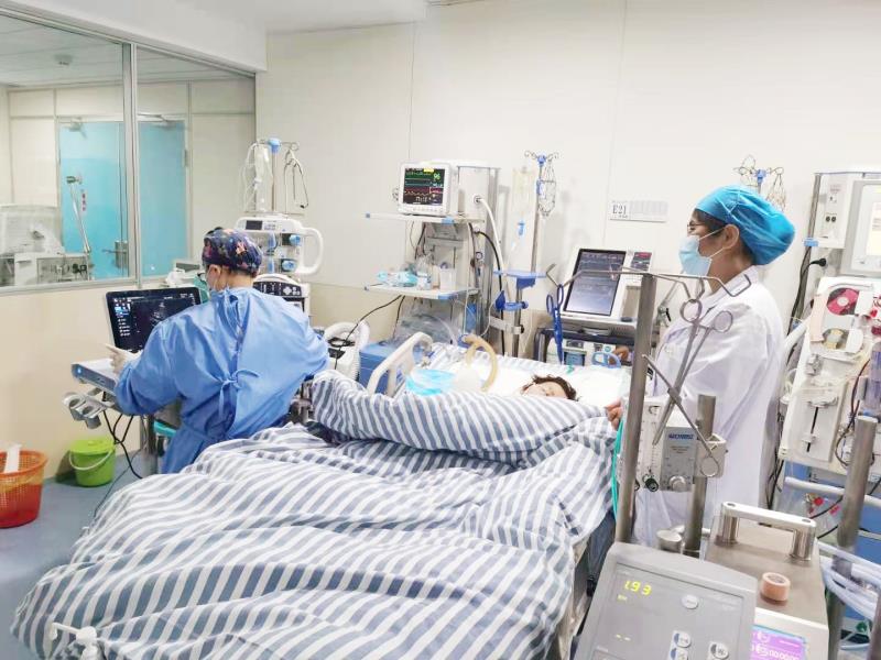 医生为患者进行床旁超声检查。