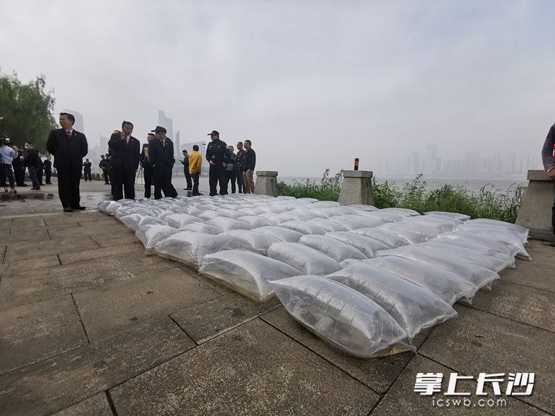 今日，开福法院开展“十年禁渔”专项司法行动暨增殖放流活动。均为长沙晚报全媒体记者刘树源摄