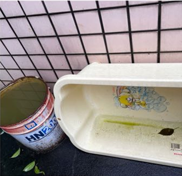 原来蚊子是从这些积水容器中长出来的。