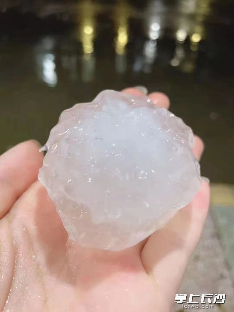 冰雹最大直径达8厘米。 通讯员 崔剑峰 摄